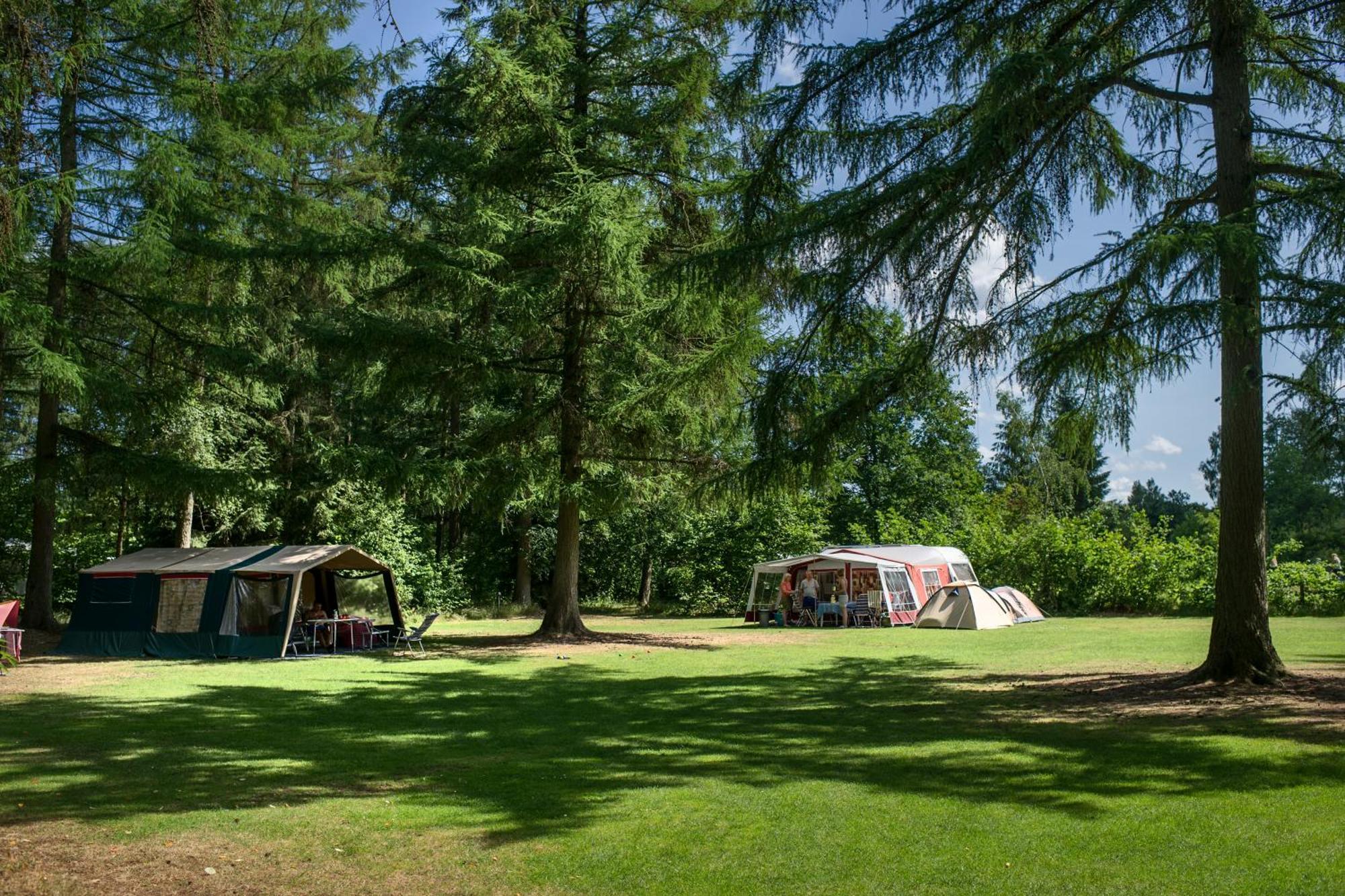 RCN Vakantiepark de Roggeberg Appelscha Bagian luar foto