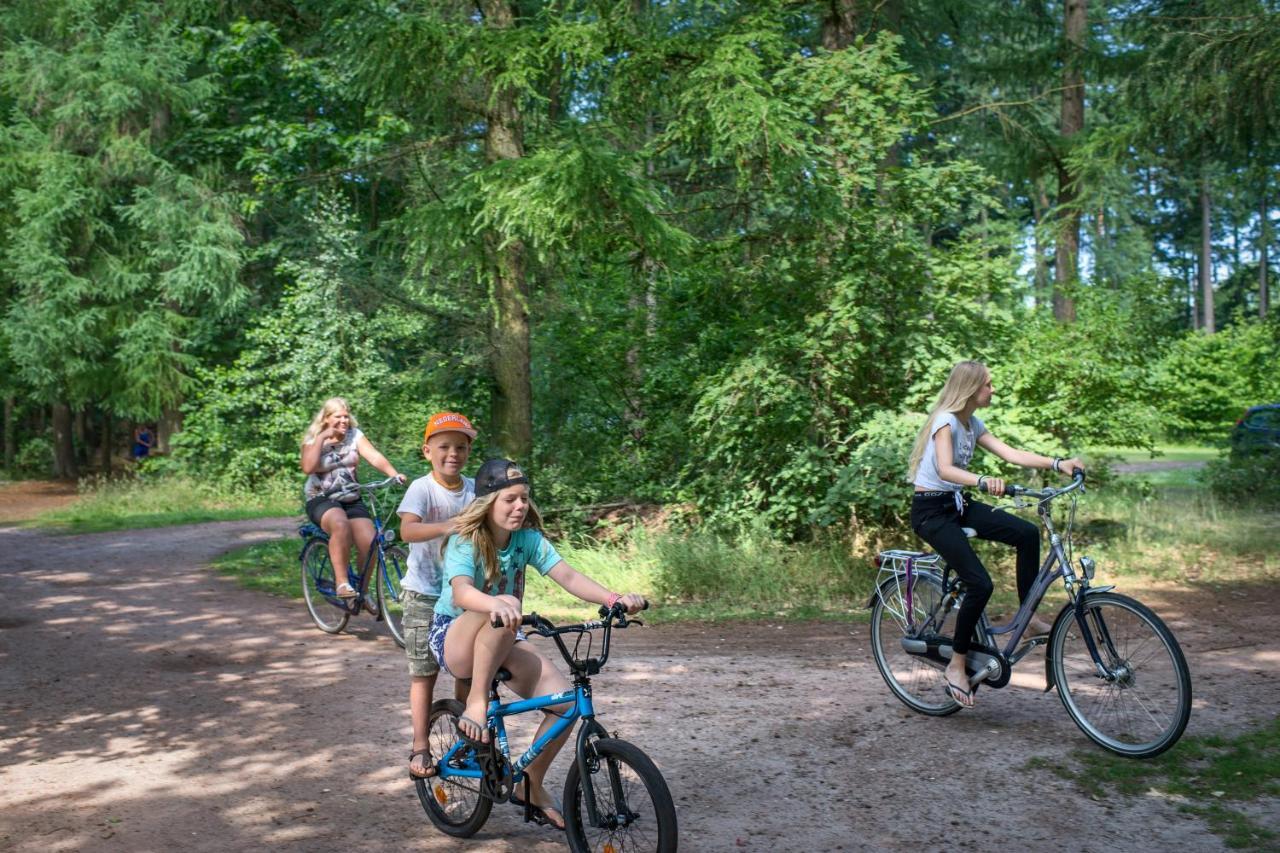 RCN Vakantiepark de Roggeberg Appelscha Bagian luar foto